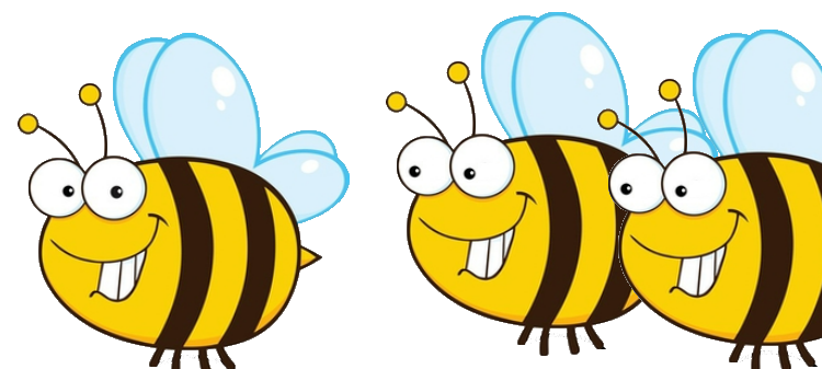 Bienenflugwetter